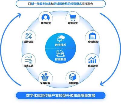 構(gòu)建高效、可持續(xù)的數(shù)字生態(tài)系統(tǒng) 標(biāo)桿項(xiàng)目實(shí)施辦法與數(shù)字技術(shù)服務(wù)路徑